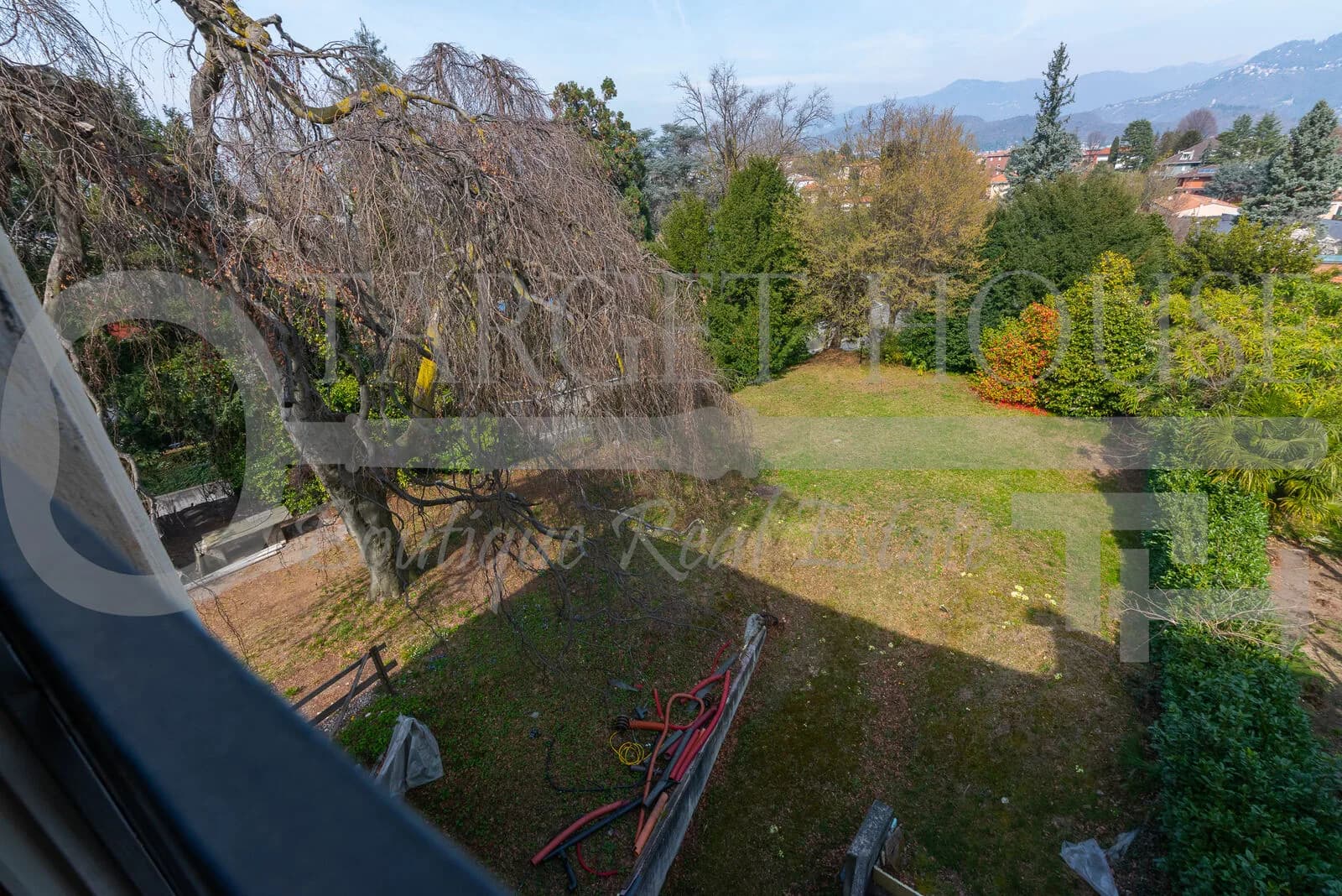 Lush 1,500 sqm garden with weeping tree, green lawn, and Alpine mountain views at historic villa near Como