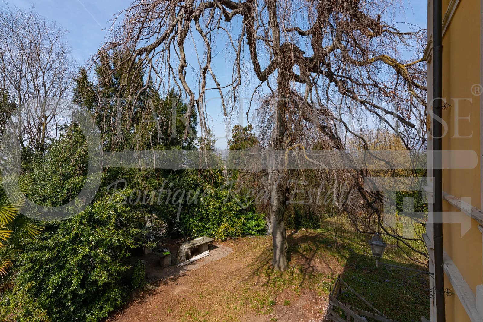 Lush garden with weeping tree, stone bench, and hedgerows at historic villa near Como