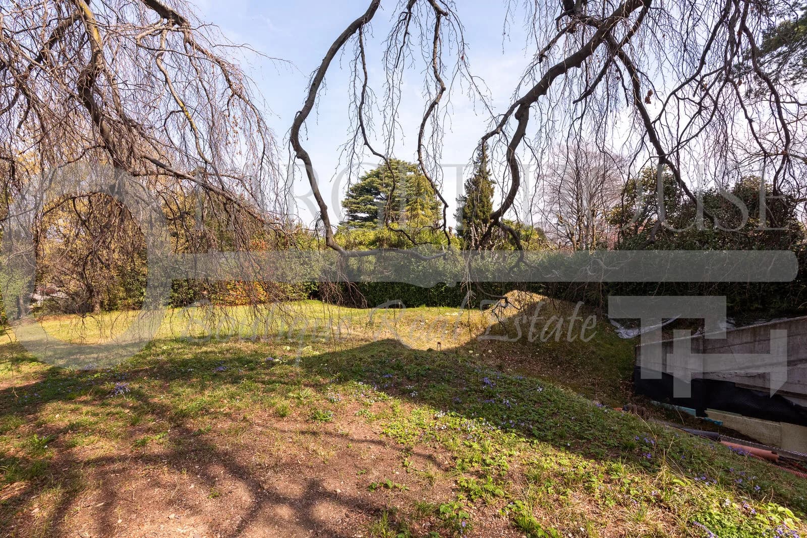 Lush 1,500 sqm garden with weeping tree and evergreens at historic villa near Como