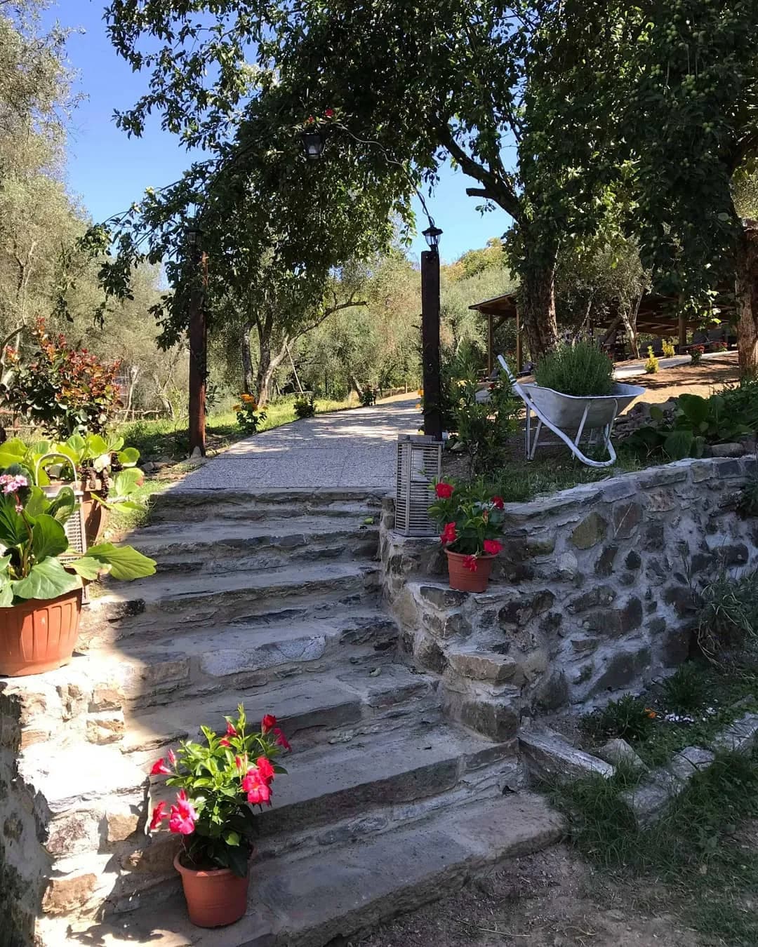 garden