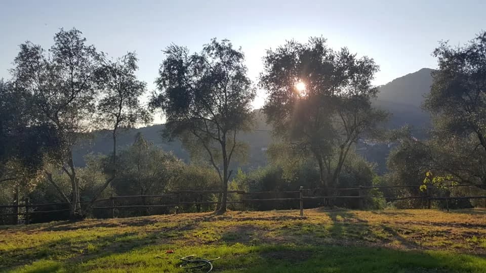 land attached