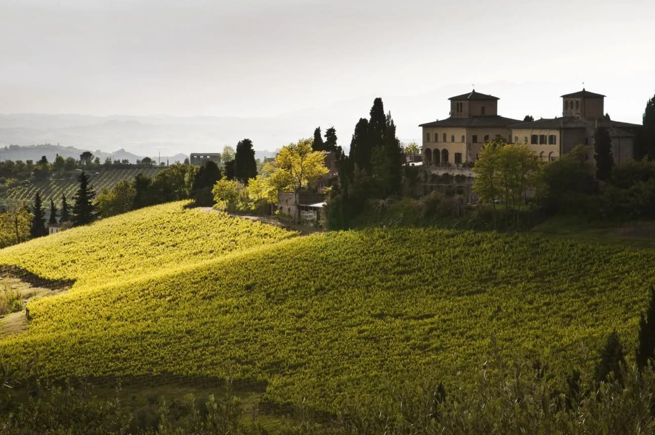 Luxury villa in Tuscany with rolling hills and vineyards