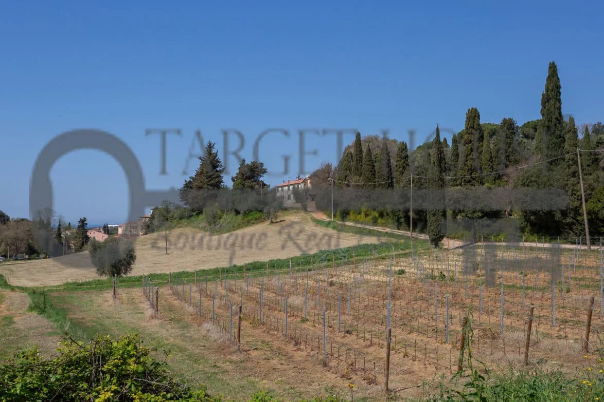 Panoramic Tuscan farmhouse near Bibbona with olive groves and country views — gallery photo 2