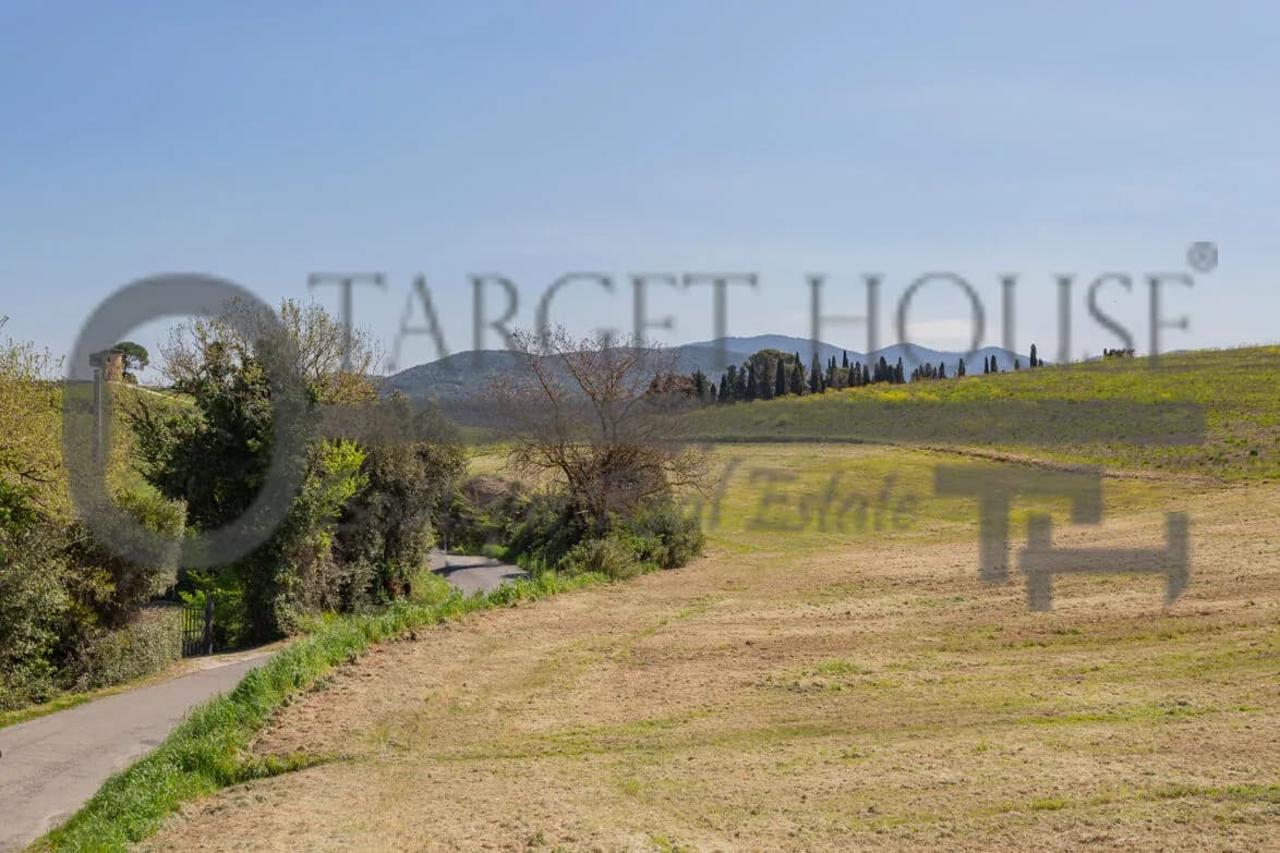 Panoramic Tuscan farmhouse near Bibbona with olive groves and country views — gallery photo 3