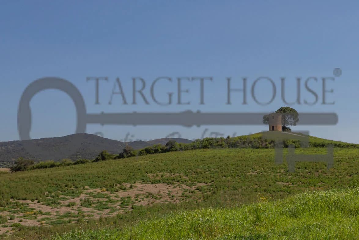 Panoramic Tuscan farmhouse near Bibbona with olive groves and country views — gallery photo 4