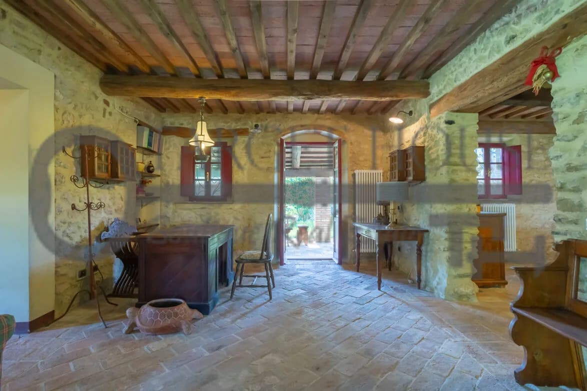 Panoramic Tuscan farmhouse near Bibbona with olive groves and country views — gallery photo 6