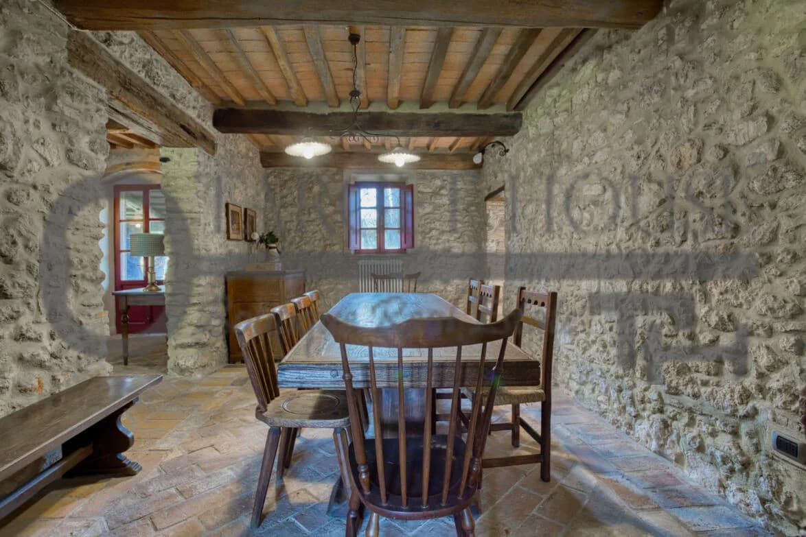 Panoramic Tuscan farmhouse near Bibbona with olive groves and country views — gallery photo 17