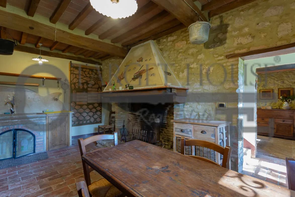Panoramic Tuscan farmhouse near Bibbona with olive groves and country views — gallery photo 23