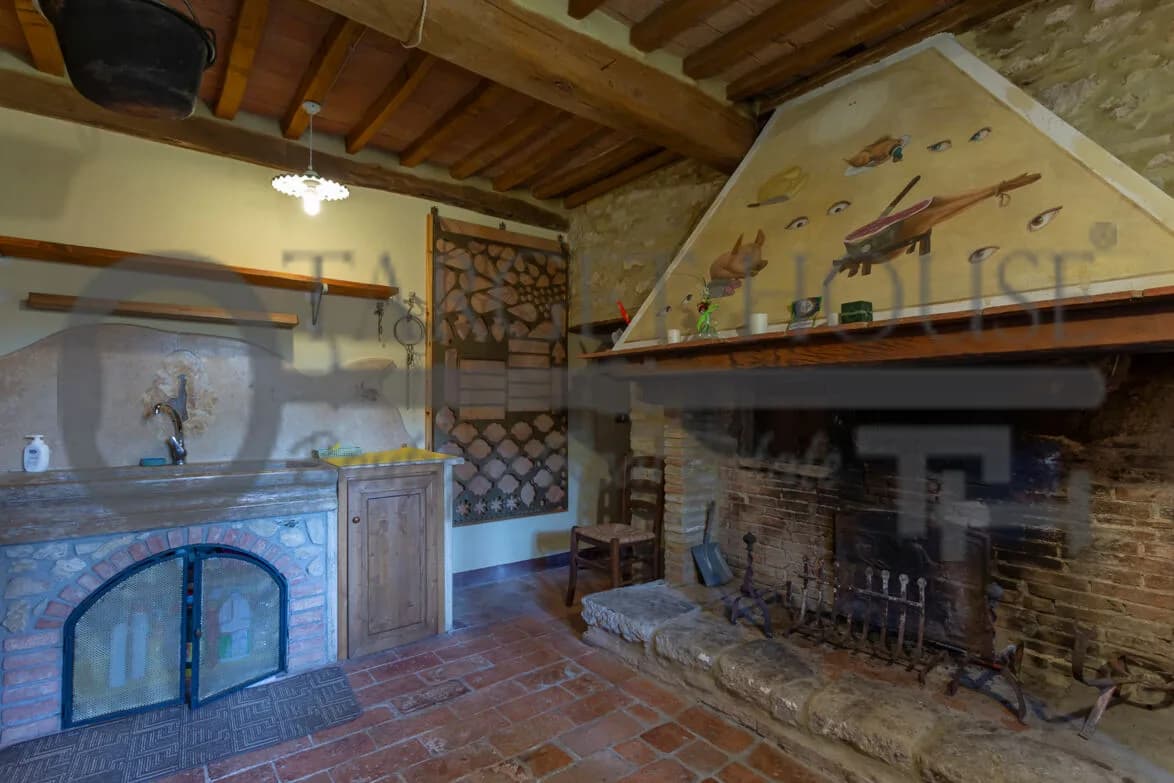 Panoramic Tuscan farmhouse near Bibbona with olive groves and country views — gallery photo 24