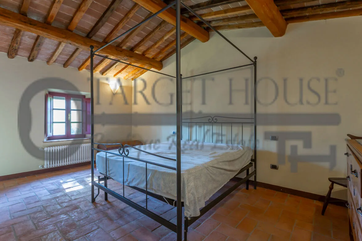 Panoramic Tuscan farmhouse near Bibbona with olive groves and country views — gallery photo 27