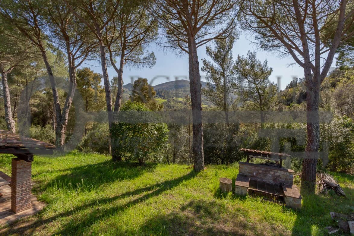 Panoramic Tuscan farmhouse near Bibbona with olive groves and country views — gallery photo 28