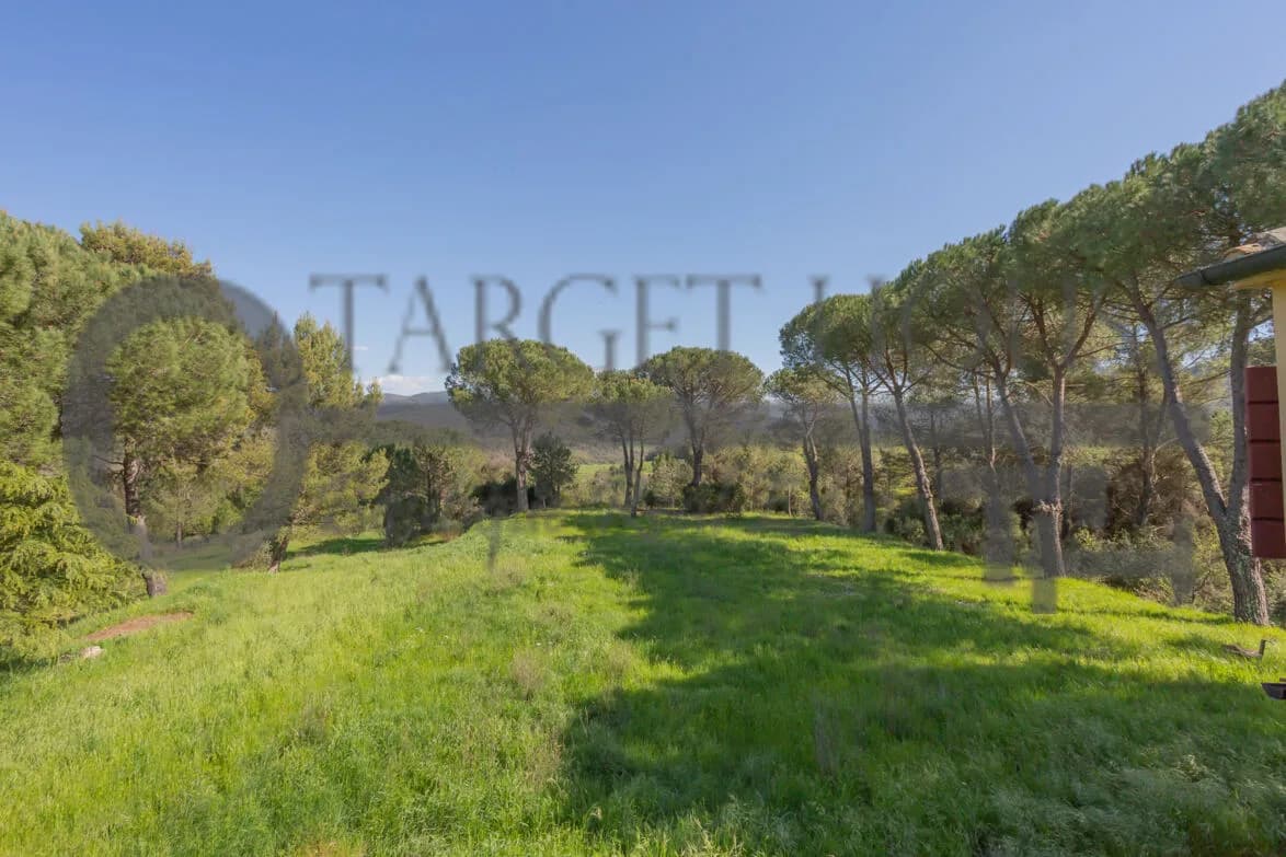 Panoramic Tuscan farmhouse near Bibbona with olive groves and country views — gallery photo 36