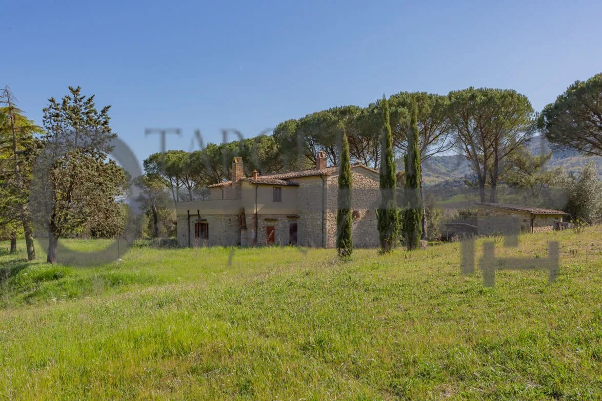 Panoramic Tuscan farmhouse near Bibbona with olive groves and country views — gallery photo 38