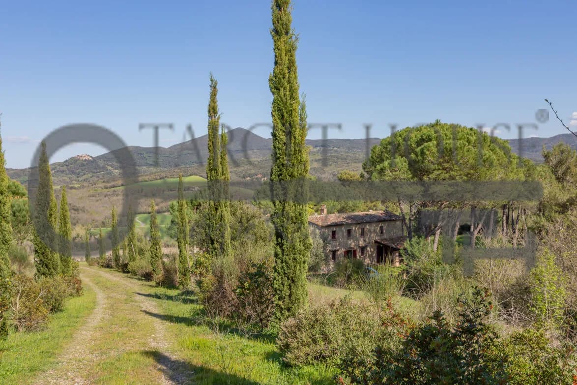 Panoramic Tuscan farmhouse near Bibbona with olive groves and country views — gallery photo 39