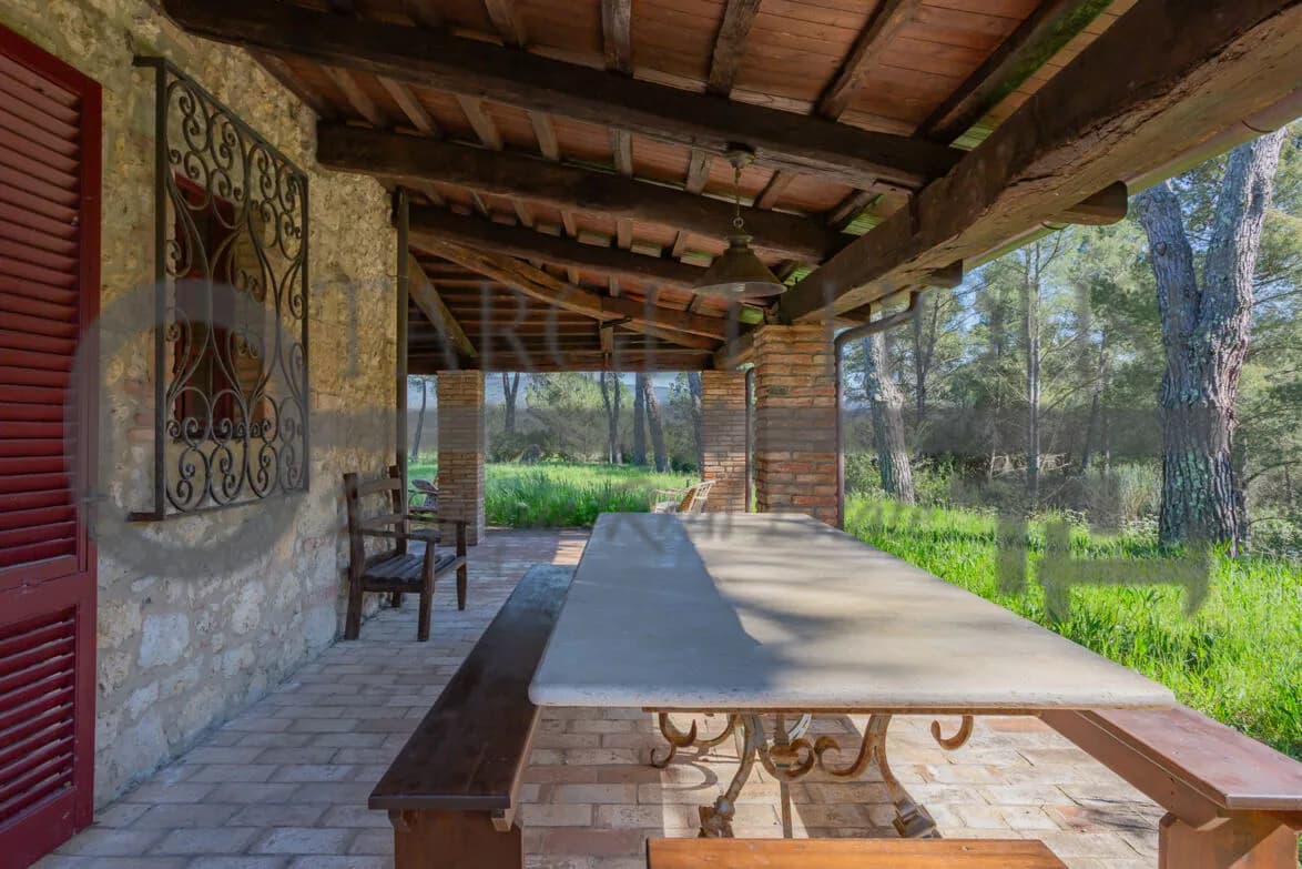 Panoramic Tuscan farmhouse near Bibbona with olive groves and country views — gallery photo 43