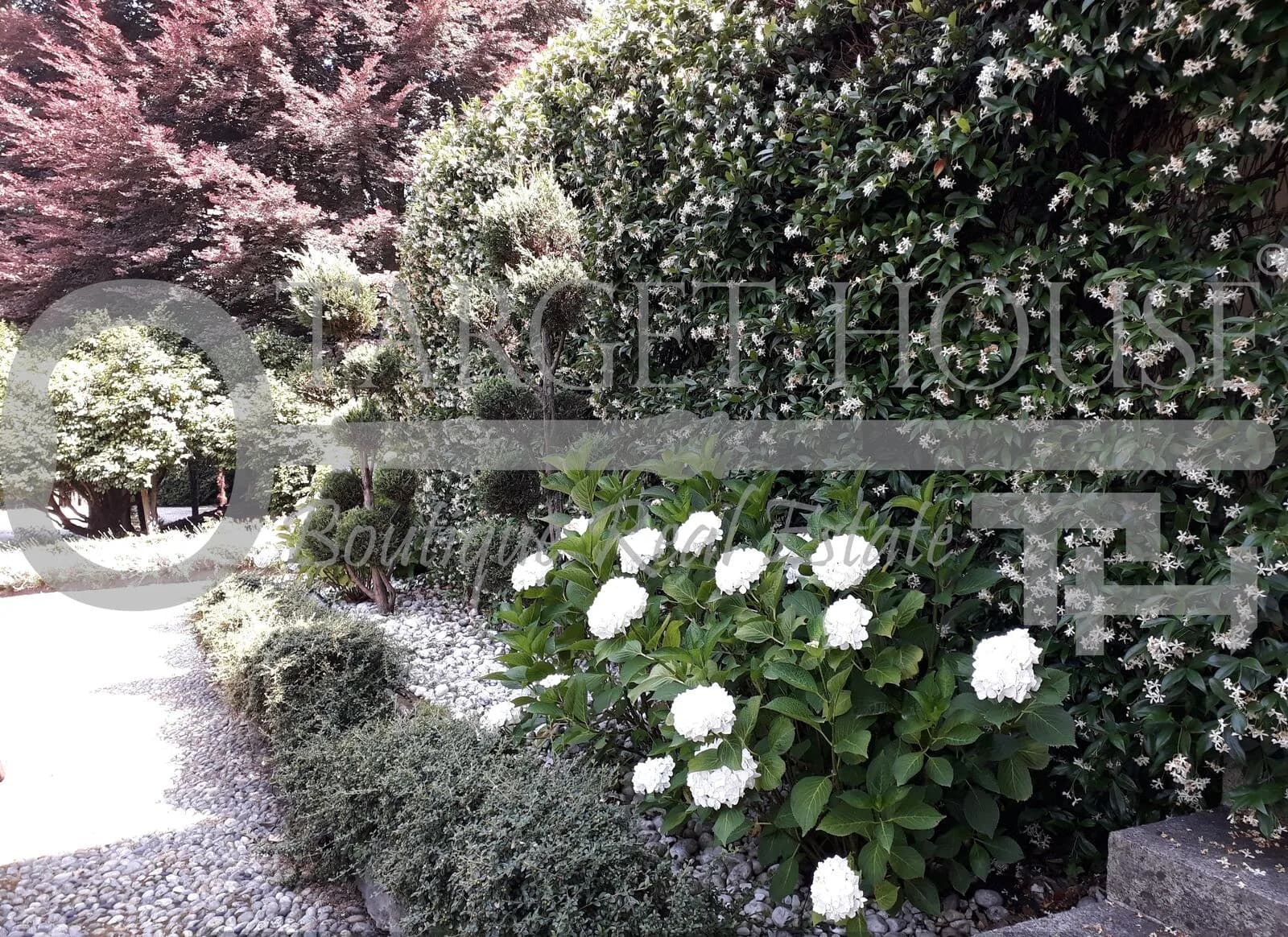 Villa in Luino Lake Maggiore — gallery photo 7