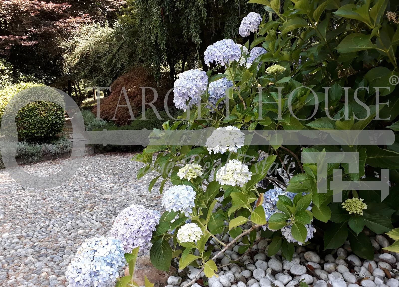 Villa in Luino Lake Maggiore — gallery photo 8