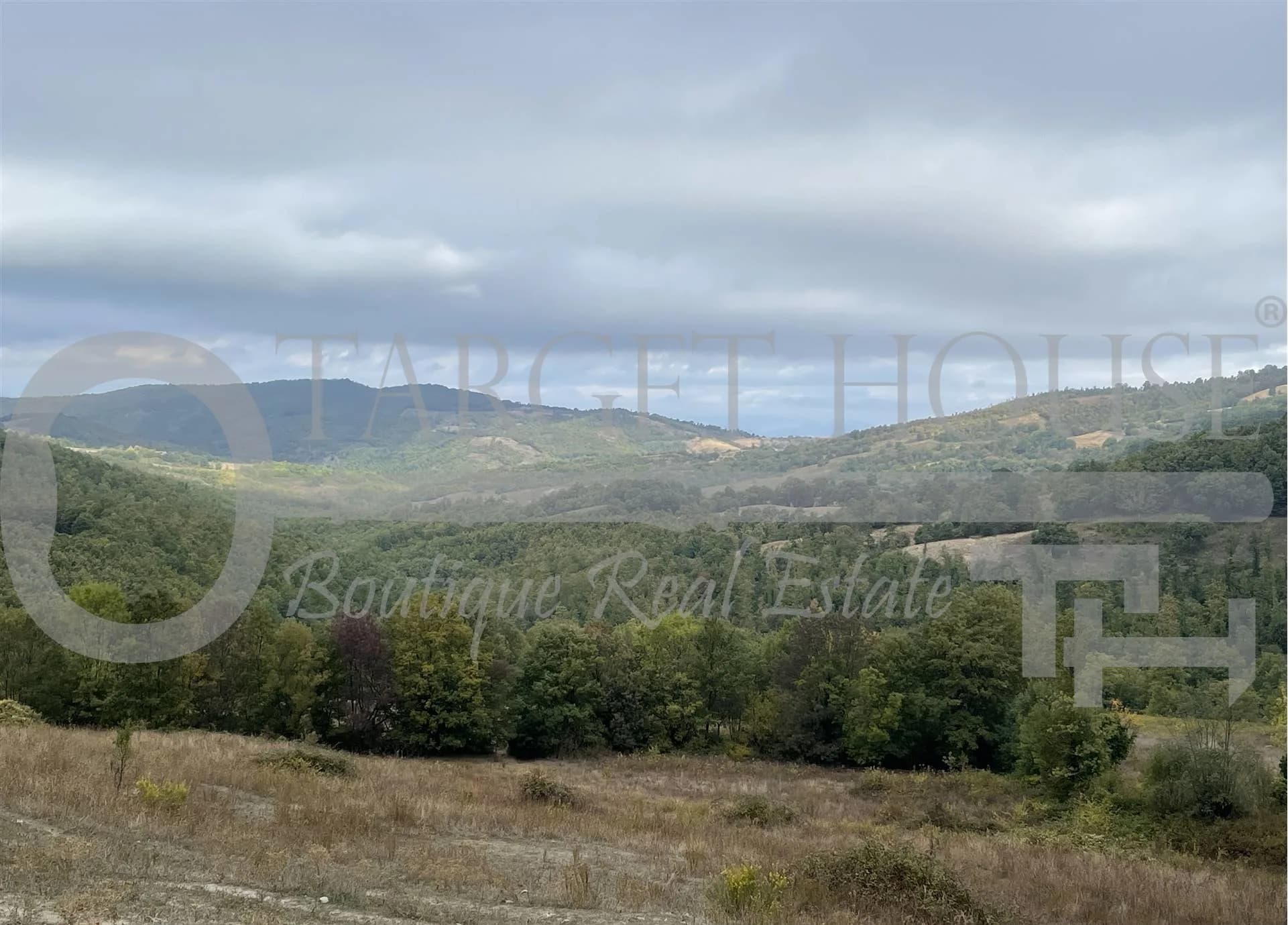 Charming Tuscan Ranch with Horse Stables, Farmland & Woodland Estate — photo 16
